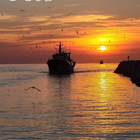 Douceur De Mediterranee - Vue Terrasse Et Parking Apartment Le Grau-du-Roi