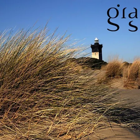 Douceur De Mediterranee - Vue Terrasse Et Parking Apartment Le Grau-du-Roi