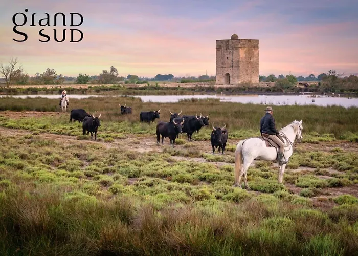 Douceur De Mediterranee - Vue Terrasse Et Parking